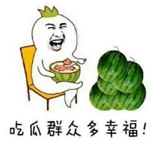 娱乐吃瓜公司
